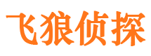 河源市出轨取证